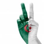 Algeria Flag On Victory Hand Stock Photo