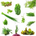 Mix Organic Salad Leaves And Salad Onion Springs Stock Photo