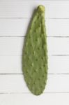Opuntia Ficus-indica Cactus Leaf On A White Background Stock Photo