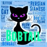Bobtail Cat Represents Puss Mating And Reproducing Stock Photo