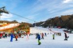 Vivaldi Park Ski Resort  In Korea Stock Photo