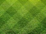 Top View Of Beautifully Mown Lawn Stock Photo