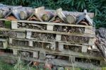 Insect Hotel Stock Photo