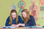 Two Students Learning With Books In Biology Lesson Stock Photo