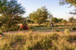 Campground In Witvlei In Namibia Stock Photo