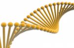 Dna Stock Photo