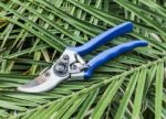 Blue Garden Secateurs On Cutting Leaves Stock Photo