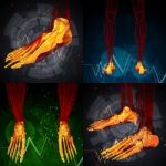 3d Rendering Medical Illustration Of The Foot Bone Stock Photo