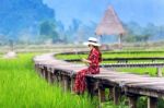 Young Woman Sitting On Wooden Path With Green Rice Field In Vang Vieng, Laos Stock Photo