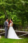 Newly Married Couple In The Park Stock Photo