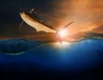 Sailfish Flying Over Blue Sea Ocean Use For Marine Life And Beautiful Aquatic Nature Stock Photo
