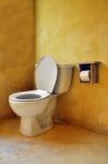 Toilet Seat Stock Photo