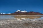 Laguna Canapa In Altiplano A Salt Lake, Bolivia Stock Photo