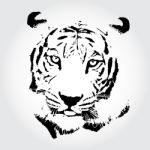Tiger Drawing Stock Photo