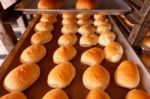 Fresh Hot Bread In Trey Stock Photo