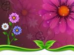 Flowers Background Means Flowering And Outside Beauty
 Stock Photo