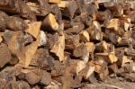 Wood Logs Stock Photo