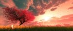 Garden Of Heaven,background Of Sakura Tree Flower At Sunrise Stock Photo