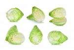 Cabbage Isolated On The White Background Stock Photo
