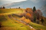 Autumn Mountain Panorama. October On Carpathian Hills Stock Photo