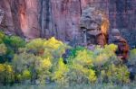 Pulpit Rock Zion National Park Stock Photo