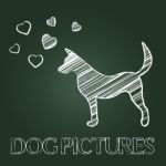 Dog Pictures Means Pets Images And Photographs Stock Photo