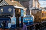 Bluebell Steam Train At Sheffield Park Station Stock Photo