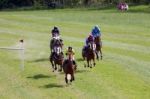 Point To Point Racing At Godstone Surrey Horse Stock Photo
