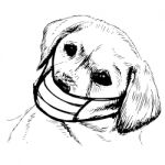 Illustration Of Labrador Retriever Dog With Mask Stock Photo