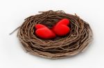 Two Red Heart In A Bird Nest Stock Photo