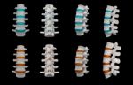 3d Rendered - Spine Structure On Black Background Stock Photo