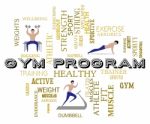 Gym Program Represents Fitness Center And Athletic Stock Photo