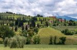 Countryside Around Sant Antimo Abbey In Montalcino Tuscany Stock Photo