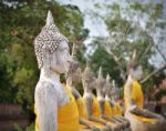 Buddha Statues At Wat Yai Chai Mongkol In Ayutthaya, Thailand Stock Photo