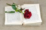 Romantic Book Stock Photo