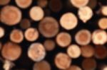 Unfocused Wooden Natural Background, Cutting Circle Logs Stock Photo