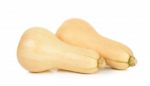 Butternut Squash Isolated Stock Photo