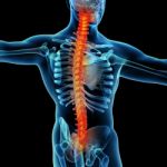 3d Rendering Skeleton Of The Man With The Backache Stock Photo