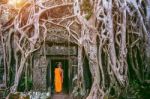 The Monks And Trees Growing Out Of Ta Prohm Temple, Angkor Wat In Cambodia Stock Photo