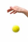 Hand Dropping Tennis Ball Stock Photo