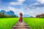 Young Woman Walking On Wooden Path With Green Rice Field In Vang Vieng, Laos Stock Photo