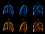 3d Medical Illustration Of The Lungs Stock Photo
