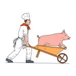 Chef Pushing Wheelbarrow And Pig Color Drawing Stock Photo