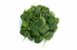 Bunch Of Fresh Spinach On A Dish Stock Photo