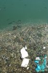Polluted River Full Of Rubbish And Fishes Stock Photo