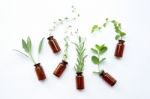 Top View, Bottle Of Essential Oil With Herbs  Sage, Rosemary, Or Stock Photo