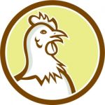Chicken Hen Head Side Circle Cartoon Stock Photo