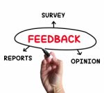 Feedback Diagram Means Reports Criticism And Evaluation Stock Photo