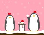 Cute Big Fat Penguin Family Wear Christmas Hat Stock Photo