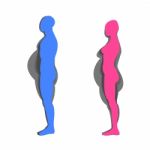 Woman And Man Fat And Slim Stock Photo